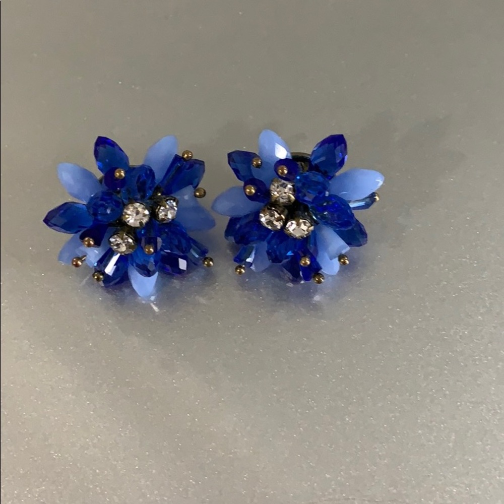 Beautiful blue earrings